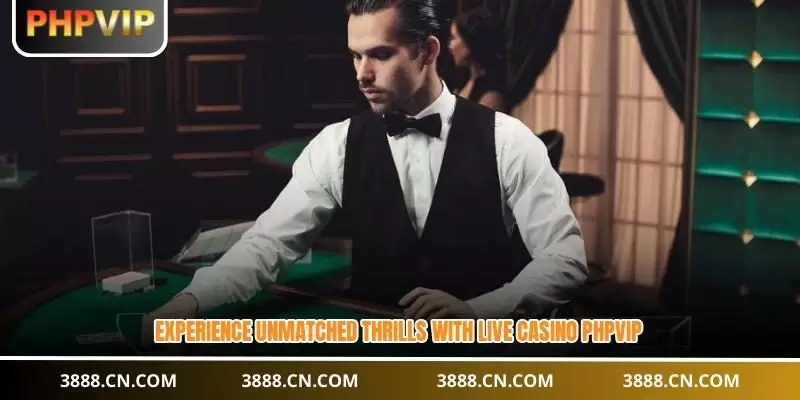 Live Casino PHPVIP