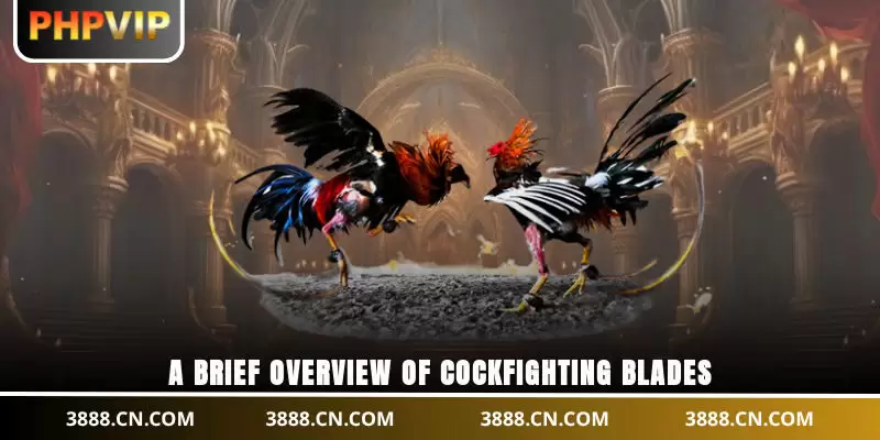 A brief overview of cockfighting blades