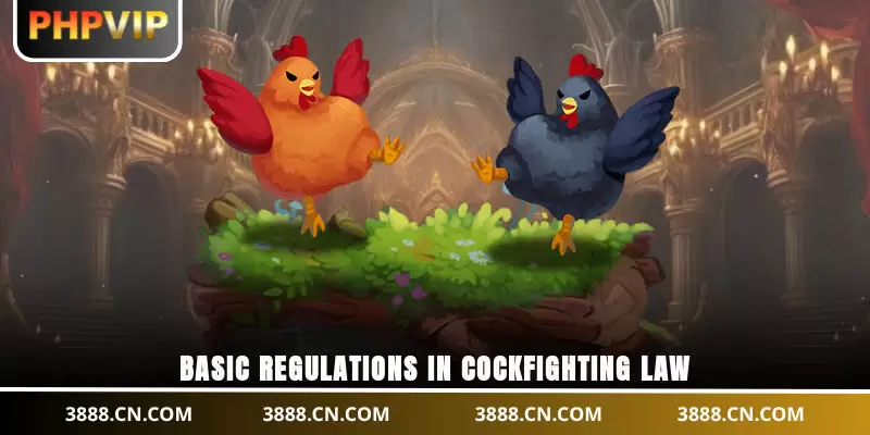 Basic regulations in cockfighting law