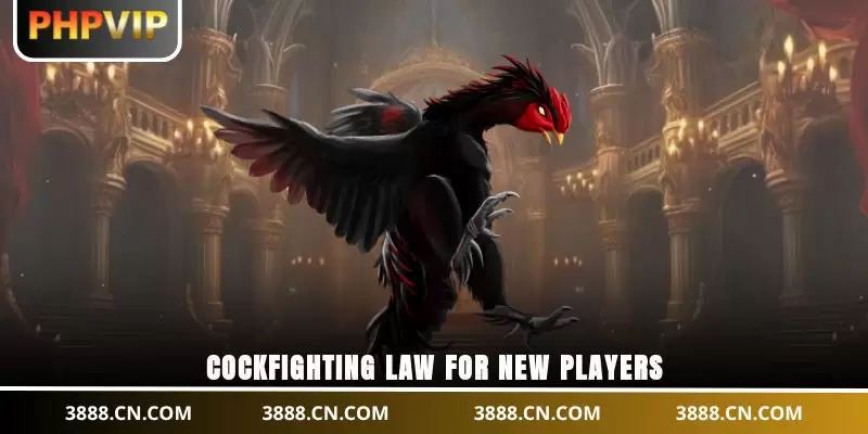 Cockfighting law for new players