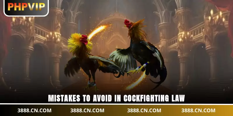 Mistakes to avoid in cockfighting law