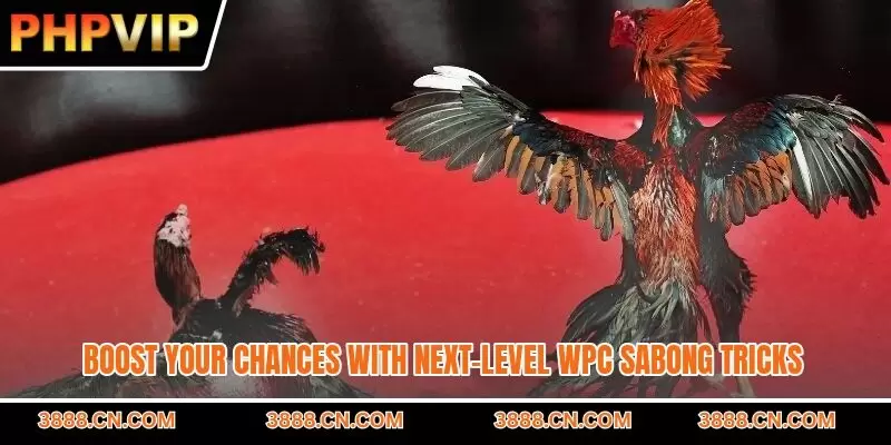 Boost your chances with next-level WPC sabong tricks