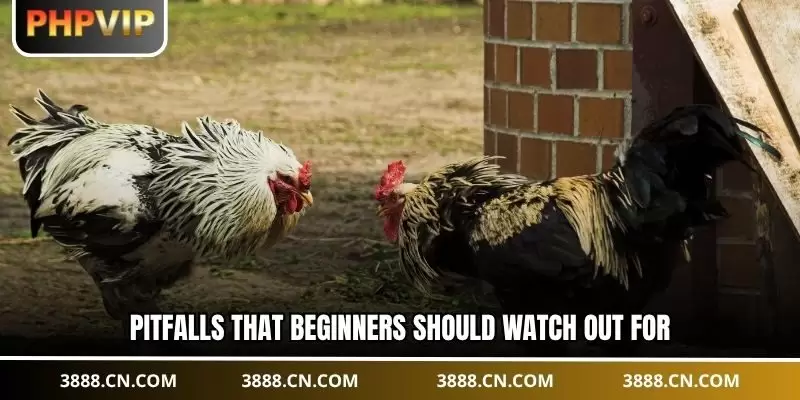 Pitfalls that beginners should watch out for