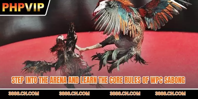 Step into the arena and learn the core rules of WPC sabong
