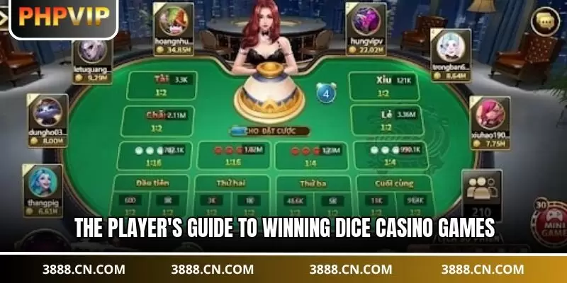 The player's guide to winning dice casino games