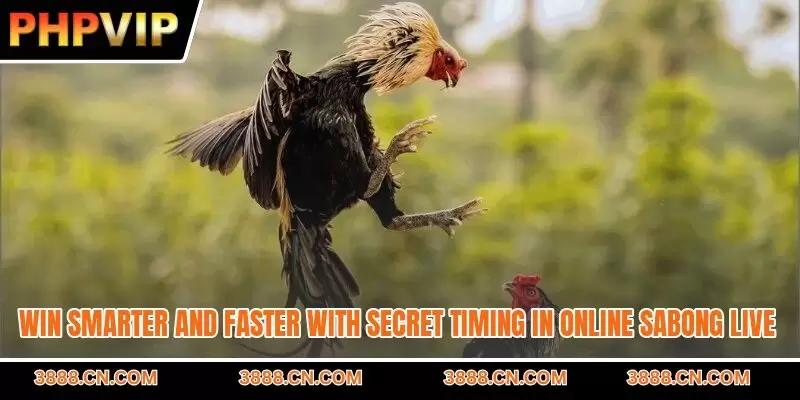 Win smarter and faster with secret timing in online sabong live