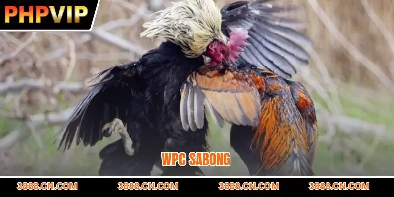 WPC Sabong