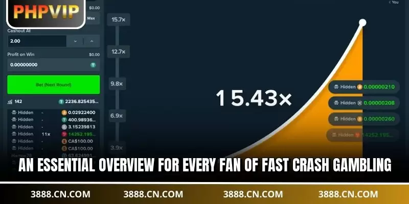 An essential overview for every fan of fast Crash Gambling