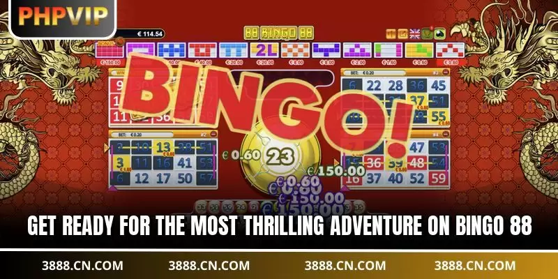 Get ready for the most thrilling adventure on Bingo 88