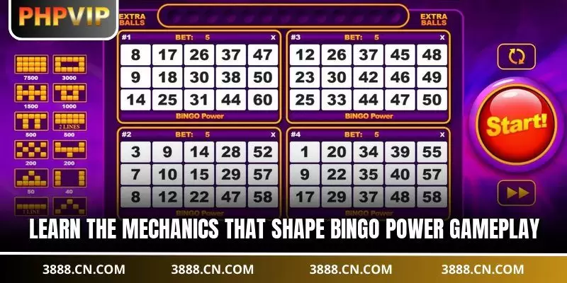 Learn the mechanics that shape Bingo Power gameplay