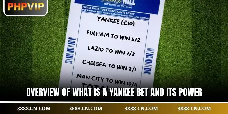 Overview of what is a Yankee bet and its power