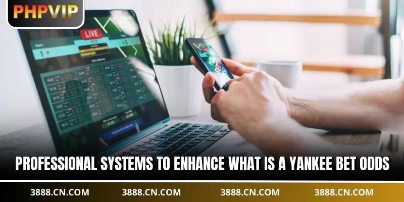 Professional systems to enhance what is a Yankee bet odds