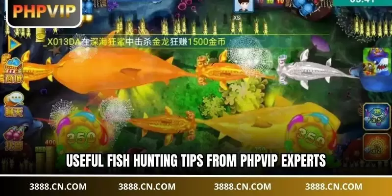 Useful fish hunting tips from PHPVIP experts