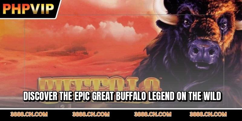 Discover the epic Great Buffalo legend on the wild